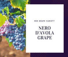 Nero d Avola Grape