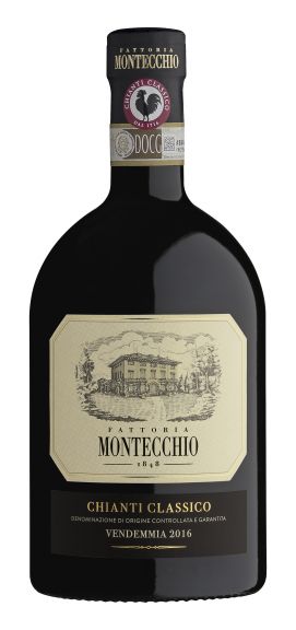 Photo for: Fattoria Montecchio Chianti Classico Premium 