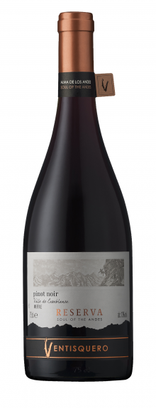 Photo for: Ventisquero Reserva Soul of the Andes Pinot Noir