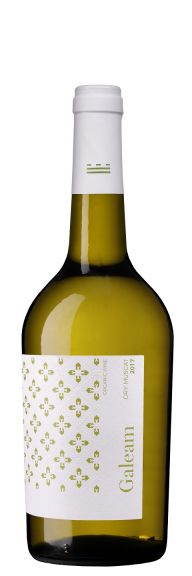 Photo for: Galeam Dry Muscat 